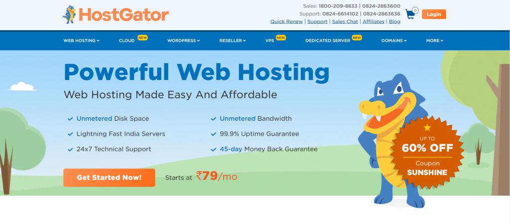 top web hosting services